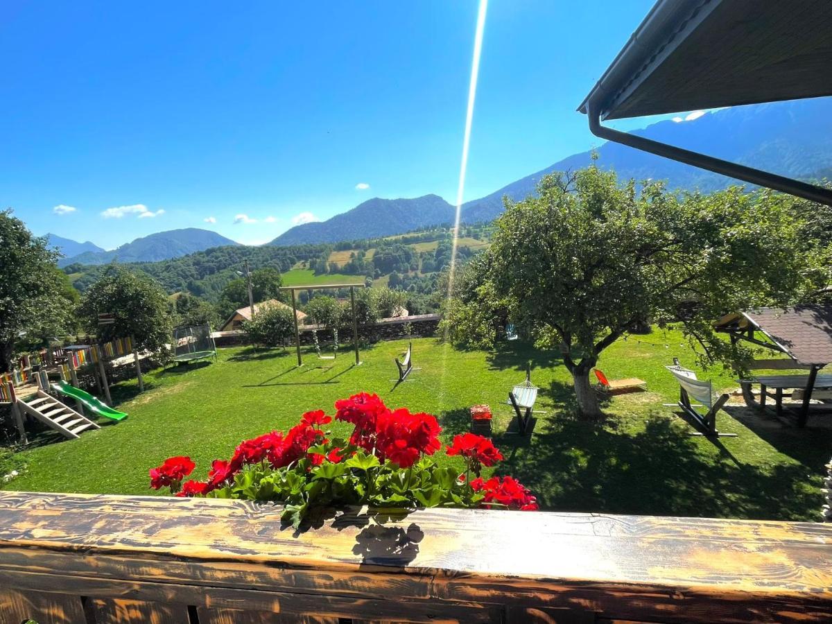 Casa Mesterului Sohodol  Εξωτερικό φωτογραφία