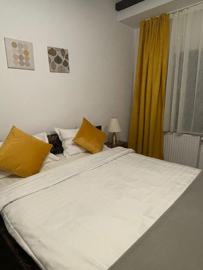 Casa Mesterului Sohodol  Εξωτερικό φωτογραφία